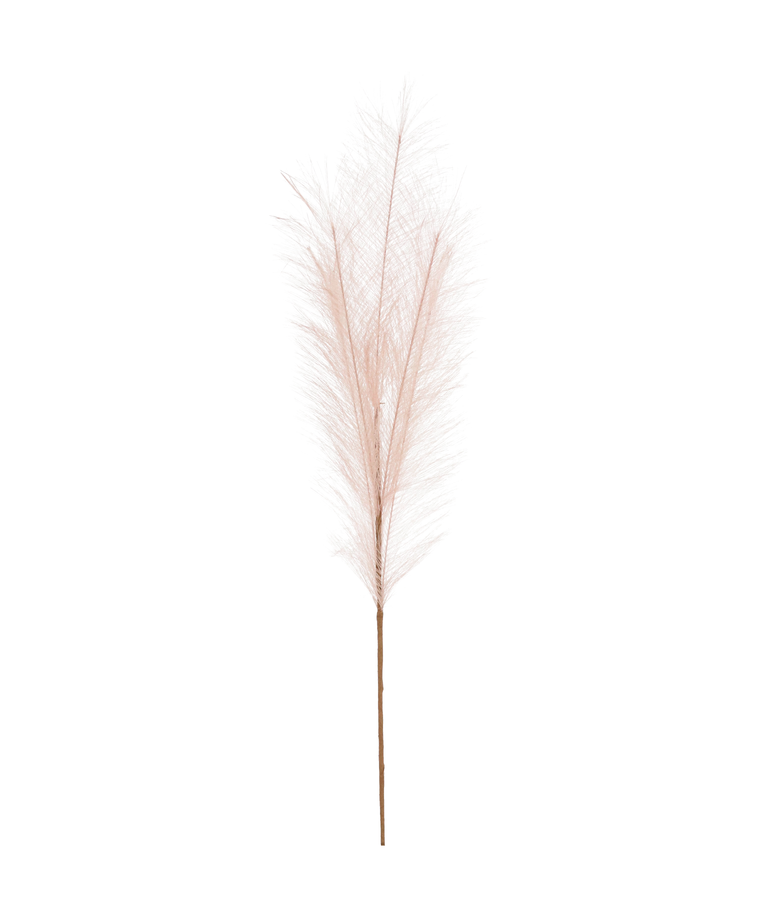 5983.png