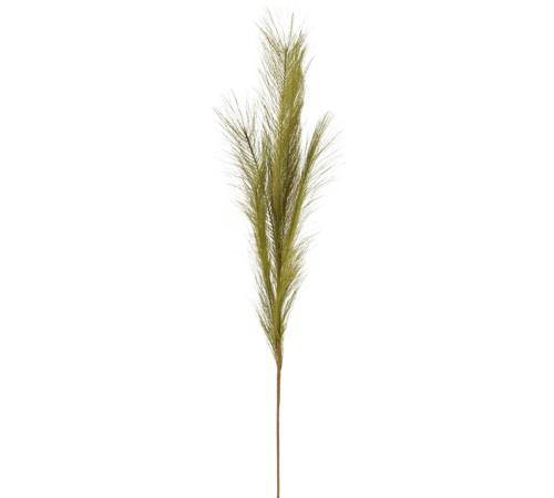 7152.png