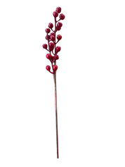 Ramo Bacche rosse